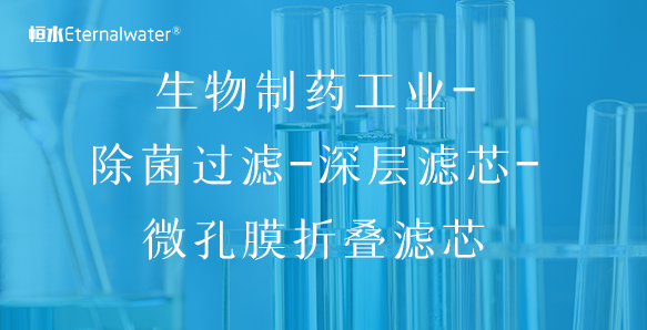 生物制藥工業(yè)-除菌過(guò)濾-深層濾芯-微孔膜折疊濾芯